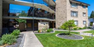 Dolphin Apartments Gallery 5