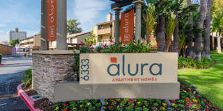 Alura Gallery 2