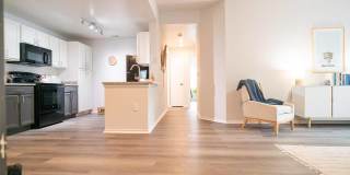 The Palmera Gallery 3