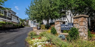 Avalon at The Pinehills Gallery 26