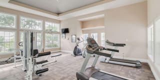 Saddle Ridge Gallery 3