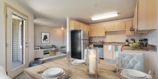 Reflections at the Park Gallery 21