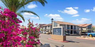 Portola West McDowell Gallery 32