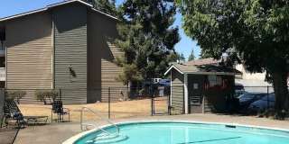 View at the Lake I Gallery 6