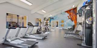 Alterra Apartments Gallery 11