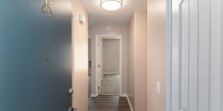 Volterra at La Mesa Gallery 50