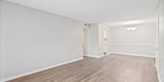 Rocky Creek Gallery 8