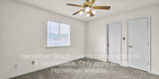 14211 Yellow Warbler Gallery 9