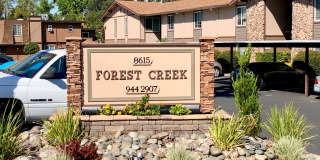 Hillgrove Creek Gallery 1