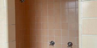 New King Edward Gallery 834