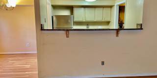 8864 WALUTES Circle Gallery 5