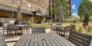 The Novelist Gallery 4