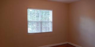 Walk to FSU! 4/2 w/ 2 Living Spaces, Wood Floors, Large Yard, & Washer/Dryer! Avail Aug 6th for $1825/month! Gallery 14