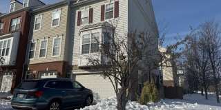 42474 MAGELLAN Square Gallery 1