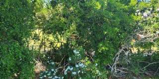 2109 Hidden Grove Lane Gallery 18