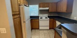 3403 GREENWICH VILLAGE BOULEVARD Gallery 5