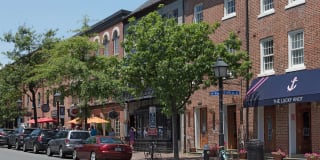 The Dalton Gallery 41