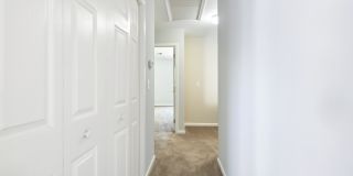 1406 Hamlin Park Circle - 1 Gallery 13
