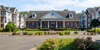 Avalon Garden City Gallery 49