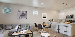 Acero at the Stadium Gallery 17