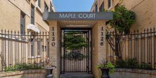 Maple Court Gallery 6
