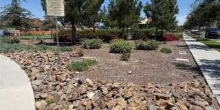 16458 Globetrotter Gallery 40