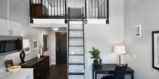 Novo Gallery 1
