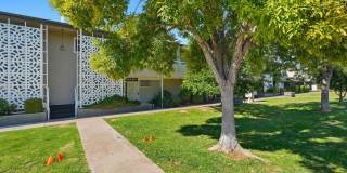 6116 N 12TH Place 6116 N 12TH Place Gallery 1