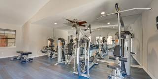 Timberglen Gallery 8