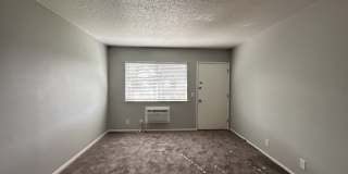 Summer Woods Gallery 15