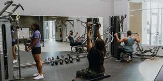 The Corvina Gallery 5