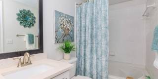 Woodland Point Gallery 31