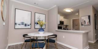 The Atlantic River West Gallery 7