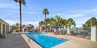 Desert Springs Gallery 11