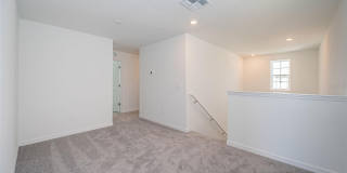 22310 BLAZING STAR RUN Gallery 18