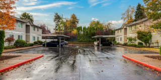 Parkmeadow Gallery 26