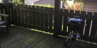 Great Sunny 3 Bed w/ Yard! Gallery 3