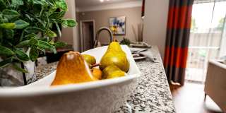 The Indigo at Grissom Gallery 9