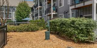 Chase Courtyard Gallery 15