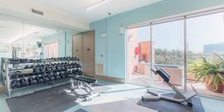 Domain at Kirby Gallery 51