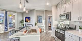 Aspire at Alper Gallery 15