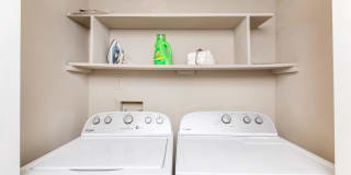 Sussex Downs Gallery 17