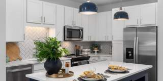 Solis Buffaloe Gallery 17