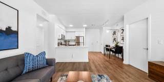 The Elinor Gallery 49