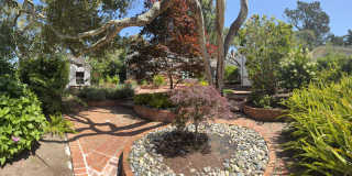 810 Martin Street Gallery 12