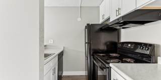 Park at Palmer Gallery 86