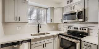 Rise on Cactus Gallery 24