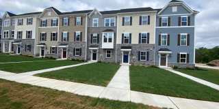 434 PAPERBARK Square Gallery 1