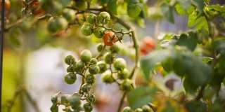 Lakeside Apartments Gallery 73