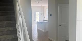 564 POTHOS Street Gallery 7